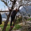 人在江湖☞☞只送花的头像