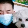 愚哥(暂停工作忙)的头像