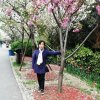 樱花的头像