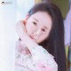 雪儿的头像