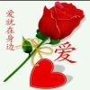 爱在中的头像