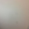 孤雁的头像