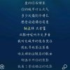 susu的头像