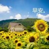 晓鹤的头像