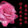 我爱你生生世世的头像