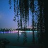 顺其自然的头像