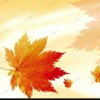 一片秋叶的头像