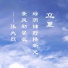 自在人的头像