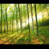 一米阳光 ——家装的头像