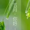 潤物无声的头像
