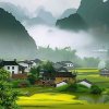 岁月如歌的头像