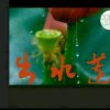出水莲《拒私》的头像