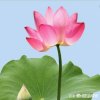 觉悟《退》的头像