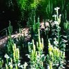 A 手里の沙的头像