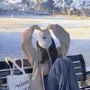 摩羯女王的头像