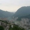 yupei的头像