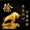 年轮的头像