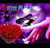 云芷风的头像
