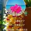 斗斗的头像