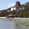 无所谓的头像