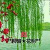 不互动**柳暗★花明**的头像