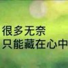无奈的人生的头像