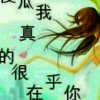 缘份的头像