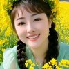 絮语飘零的头像