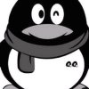Penguin的头像