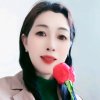 龙湖英子互动（暂停）的头像
