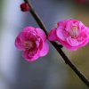 ҉╯ྀ稻草人尘尘Ꭽ࿆ྂℯ࿐ེ的头像