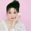 星星的头像