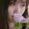  春暖花开的头像