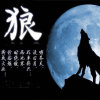 与狼共舞的头像