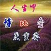 沧海过客的头像