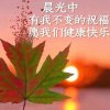 枫叶的头像
