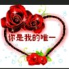鲍的头像