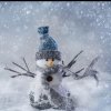 七月飞雪的头像
