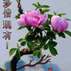 Sam的头像