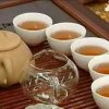 蝶儿 的头像