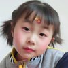 梅兰竹菊的头像
