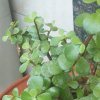 周荣根的头像