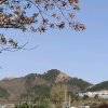 田野的头像