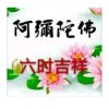 天边菩丨提丨度丨母的头像