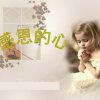 感恩的心的头像