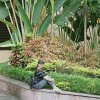 以马内利的头像