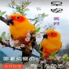 笑看人生的头像