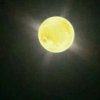 黑夜里的阳光的头像