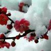 《爱你是个错》的头像