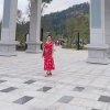 陈家小妹忙，暂退的头像